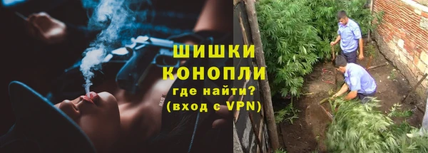 mdpv Бородино
