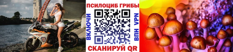 Псилоцибиновые грибы MAGIC MUSHROOMS Биробиджан