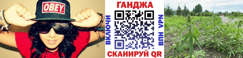 Канабис планчик  mega маркетплейс  Биробиджан 
